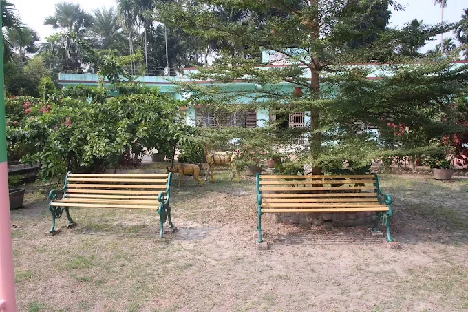 Two garden benches on either side of a tall pine tree, with deer statues behind