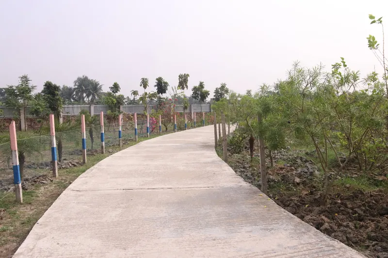A curving concrete path between striped posts and young trees
