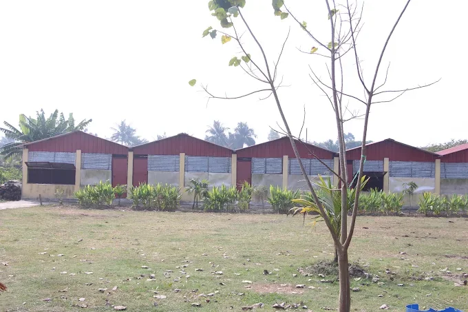 A row of red-roofed cottages beside an open lawn