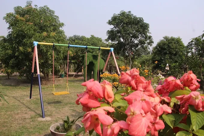 A colourful swing set with a green topiary elephant behind and pink flowers in front